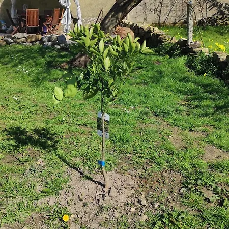 Casa vacanze Nordes En Lastres Entre Mar Y Montana Luces