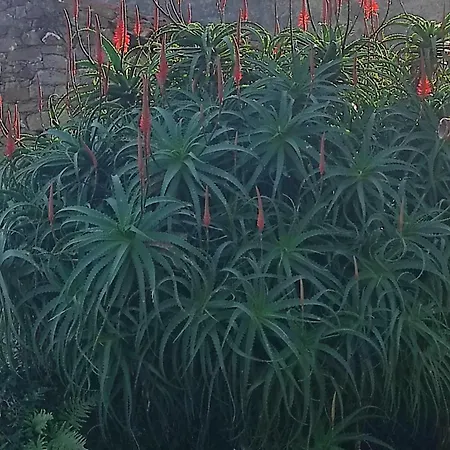 Nordes En Lastres Entre Mar Y Montana * Luces