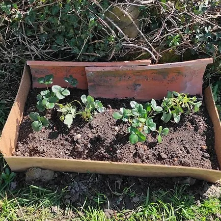 Casa vacanze Nordes En Lastres Entre Mar Y Montana *